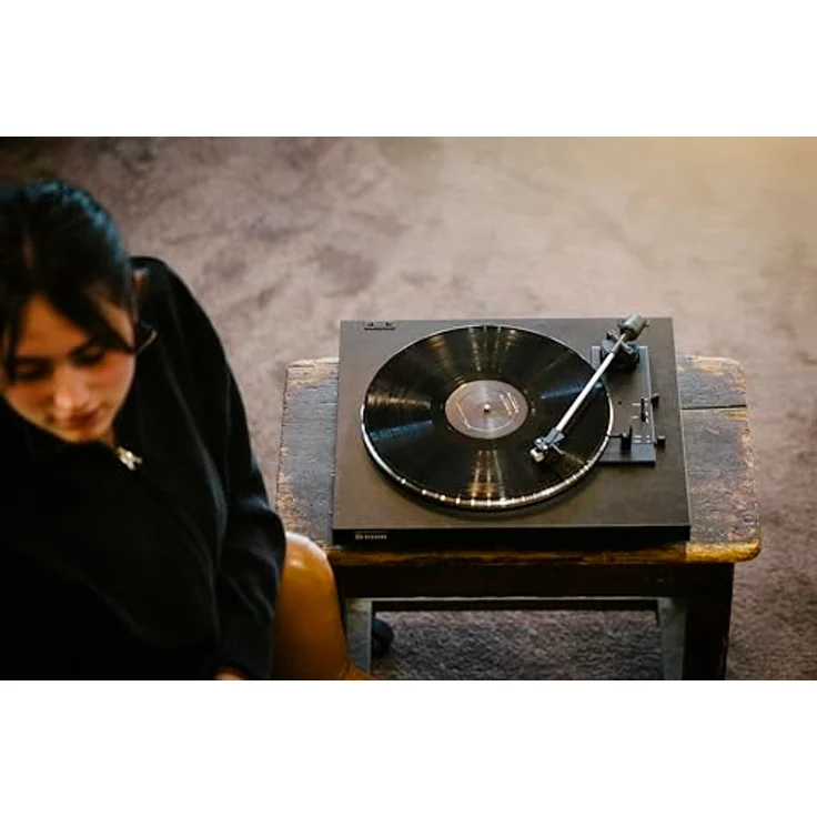 Rekkord Audio F 100 P schwarz – Bild 6