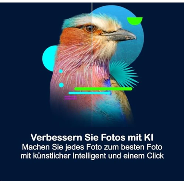 Corel PaintShop Pro 2023 ULTIMATE, Bildbearbeitungssoftware mit KI-gestützten Werkzeugen, Deutsch, Dauerlizenz für 1-PC – Bild 3