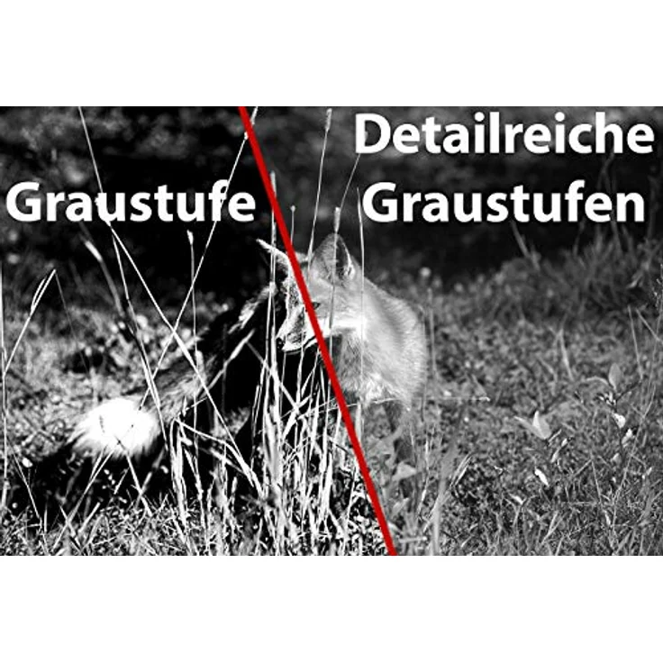 Zavarius Nachtsicht Fernglas DN-800 V2, HD-Videokamera, bis 700 m IR-Sichtweite, mattschwarz – Bild 2