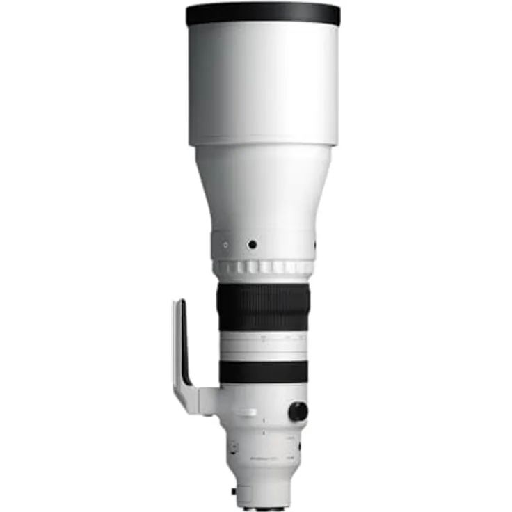 Sigma 300-600mm f/4 DG OS Sports Zoom-Objektiv, kompatibel mit Sony E