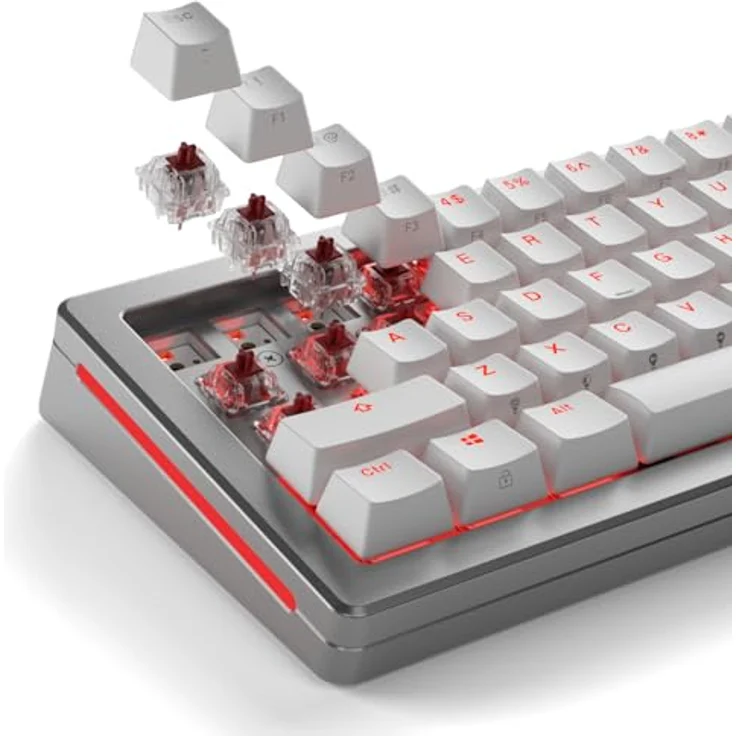 Glorious Fox Heavy Switches, mechanisch, 5-Pin, linear, MX-Stem, 55g - lubed, 110 Stück – Bild 6