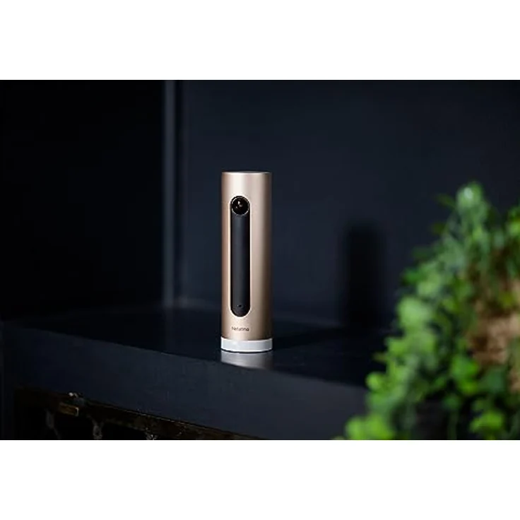 Netatmo Smarte Überwachungskamera Innen mit Wandhalterung, Wlan, Full HD, Bewegungserkennung, Nachtsicht,bis zu 32 GB lokaler Speicher auf MicroSD-Karte, Live Übertragung, Ohne Abonnement, NSC-AMZ – Bild 3