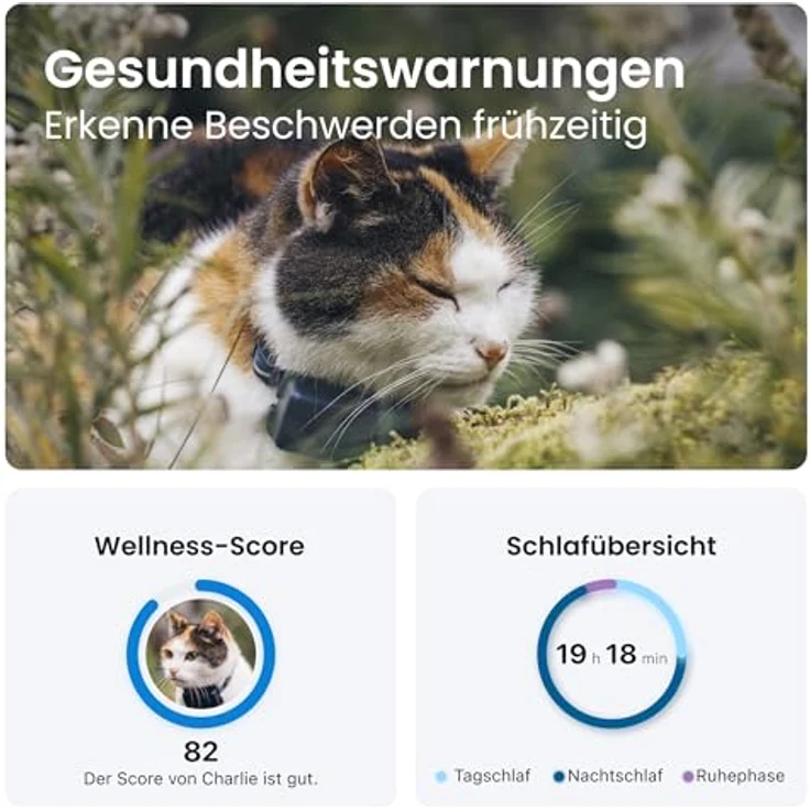 Tractive Mini GPS Tracker für Katzen, Weltweite Live-Ortung, Positionsverlauf, Aktivitätstracking, Mehrfacher Testsieger, Halsband inkludiert – Bild 4