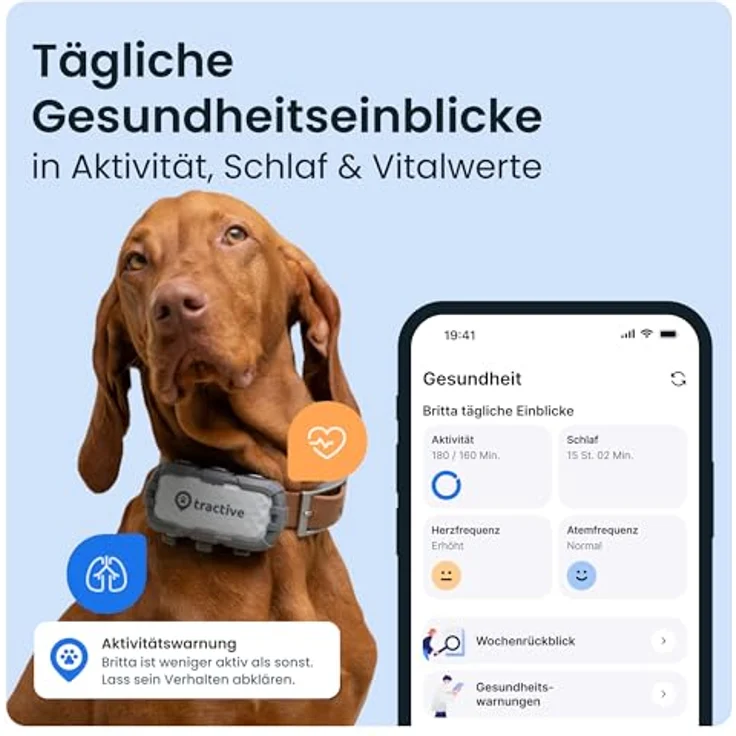 Tractive Adventure Dog XL GPS-Lokalisierer, bissfester Tracker für große Hunde mit 1 Monat Akkulaufzeit, grün – Bild 3