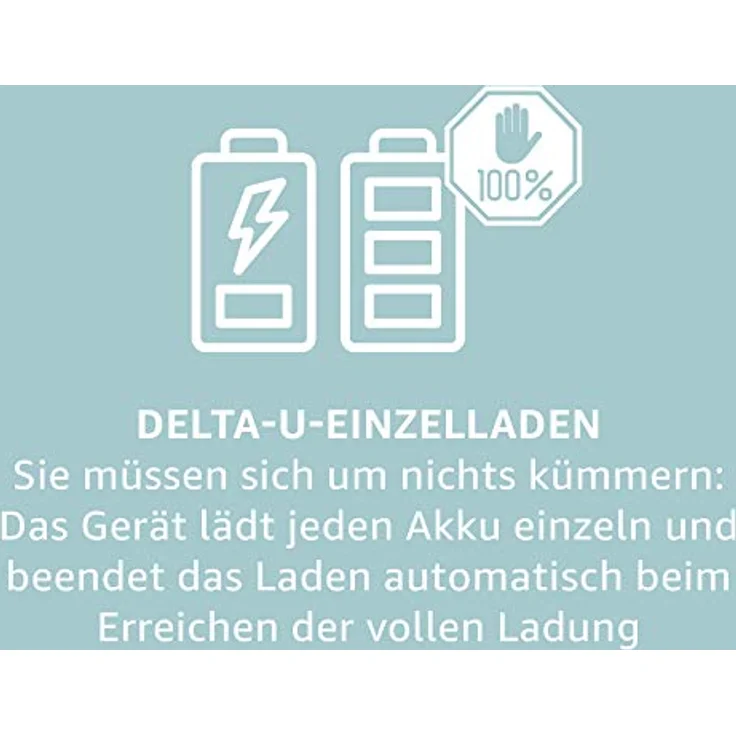 Panasonic eneloop, Intelligentes Premium-Ladegerät für 1-8 NI-MH Akkus AA-AAA – Bild 4