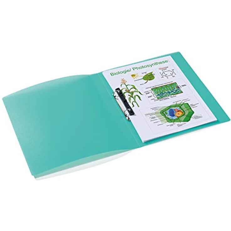 HERMA Präsentationsordner, Ringbücher aus strapazierfähigem Polypropylen, mit besonderer 2-D-Ring-Mechanik, verschiedene Motive und Farben – Bild 5
