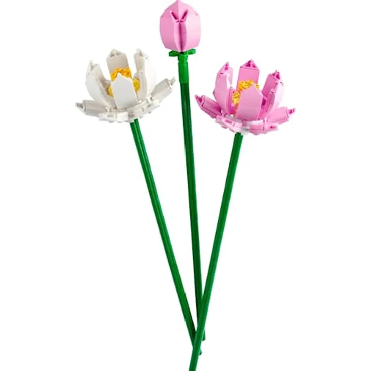 Lotus Flowers – Bild 1