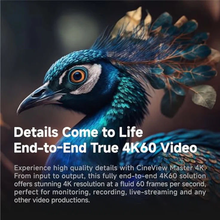 Accsoon Master 4K-TX, drahtloser Video-Transmitter mit 4K Übertragung und niedriger Latenz – Bild 2