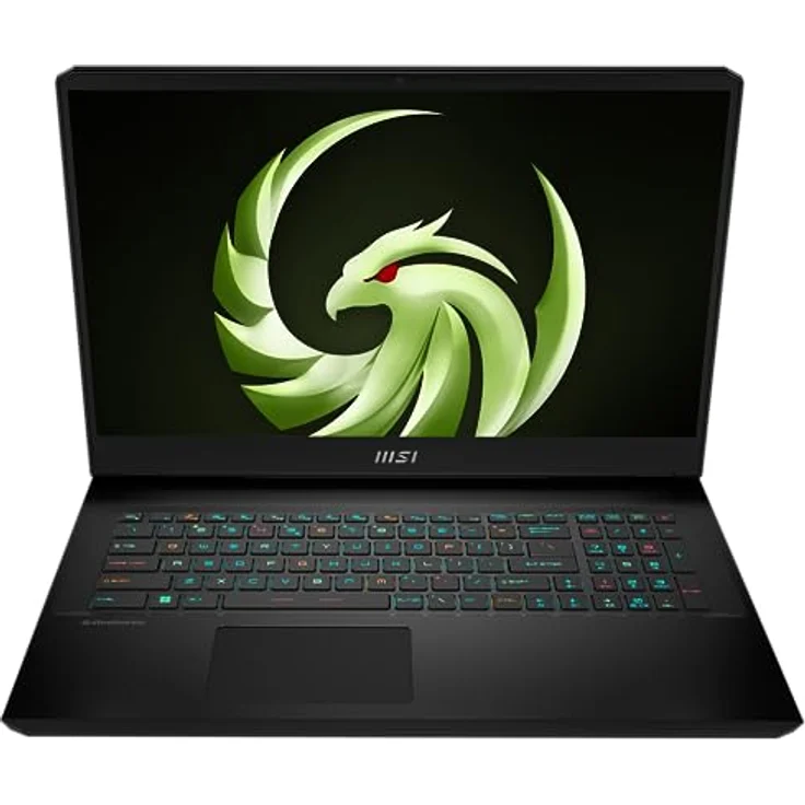 MSI Alpha 17 C7VG-031 , Gaming Laptop, 43,9 cm (17,3 Zoll) QHD, 240 Hz, AMD Ryzen 9 7945HX, 32 GB DDR5-5200, 1 TB GB SSD, NVIDIA GeForce RTX 4070, Windows 11 Home, QWERTZ Tastatur, Schwarz – Bild 1