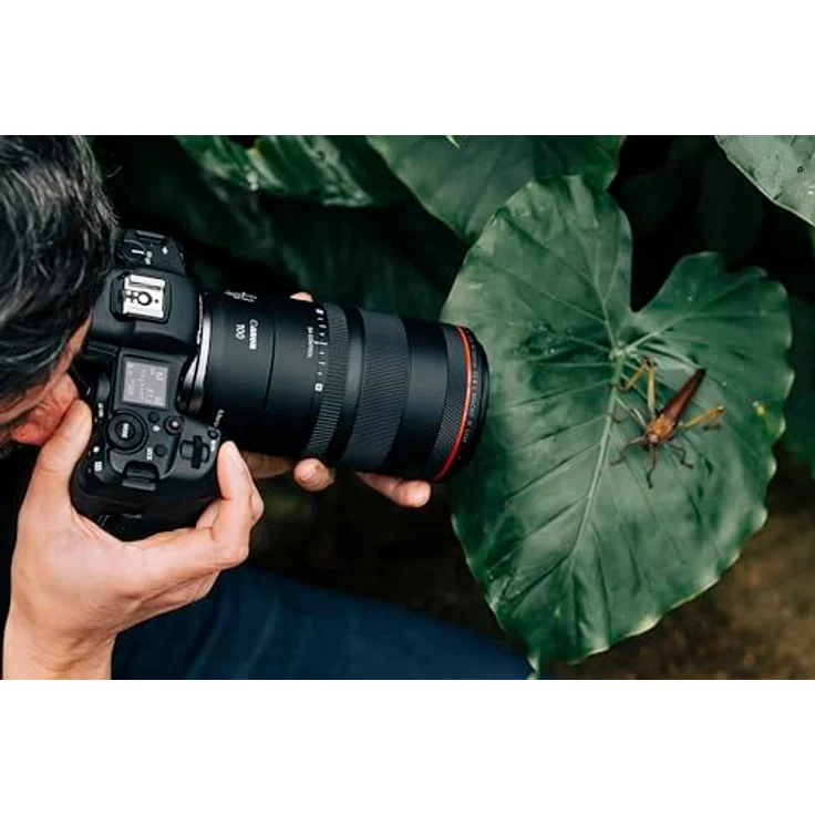 Canon RF 100mm f2,8 L Macro IS USM – Bild 3