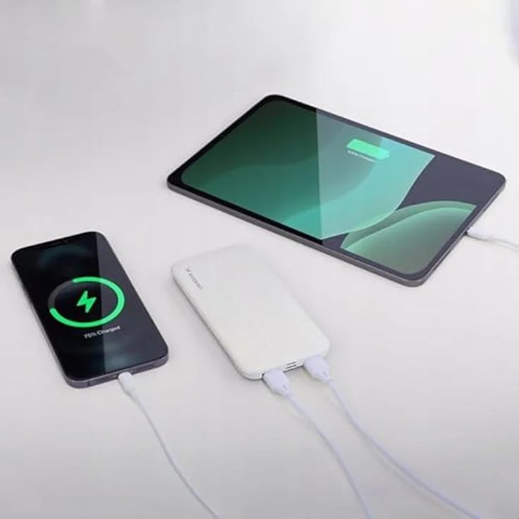 Wozinsky WPBWE1 Powerbank 10000mAh, 2 x USB, weiß, leicht und reisefreundlich mit Schutzfunktionen – Bild 7
