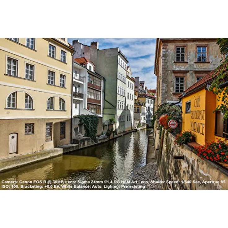 Sigma 24mm F1,4 DG HSM Art Objektiv (77mm Filtergewinde) für Sony-E Objektivbajonett – Bild 5