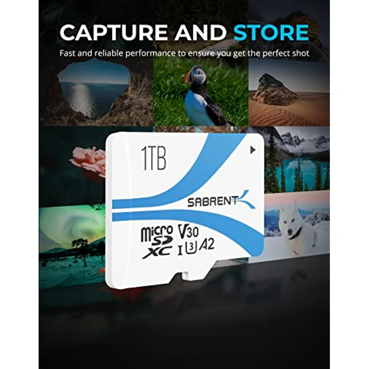 SABRENT Micro SD Karte 1TB V30, SD Karte UHS-I A2, speicherkarte MicroSDXC, Class 10, U3, Full HD & 8K UHD Karte, Biz zu 100MB/s für professionelle Fotografen, Videofilmer, Vloggers (SD-MQ30-1TB) – Bild 2