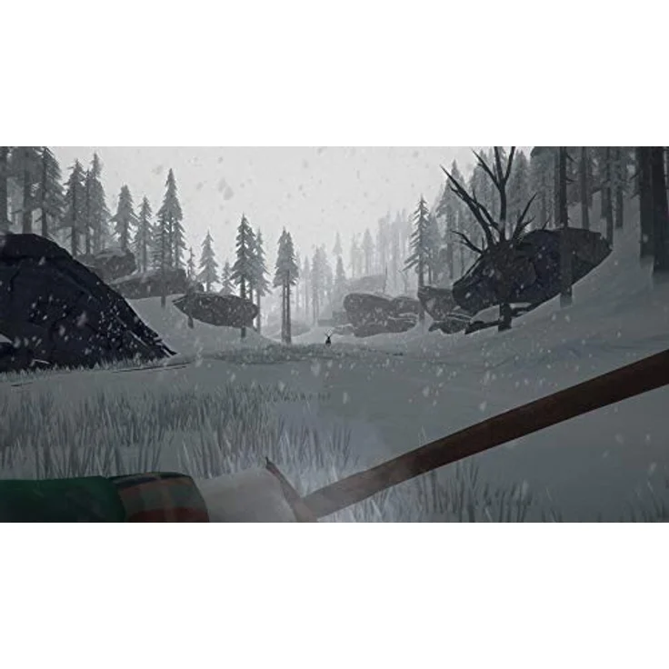 The Long Dark (PS4) – Bild 6