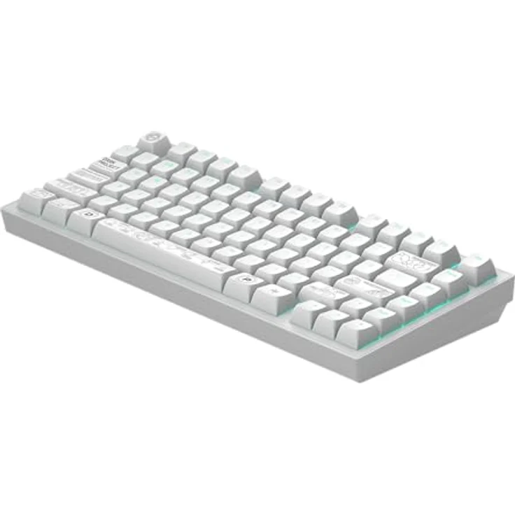 Dark Project Terra Nova R2, Kabellose Gaming-Tastatur mit G3MS Moonstone Switch, ANSI US Layout, Weiß – Bild 3