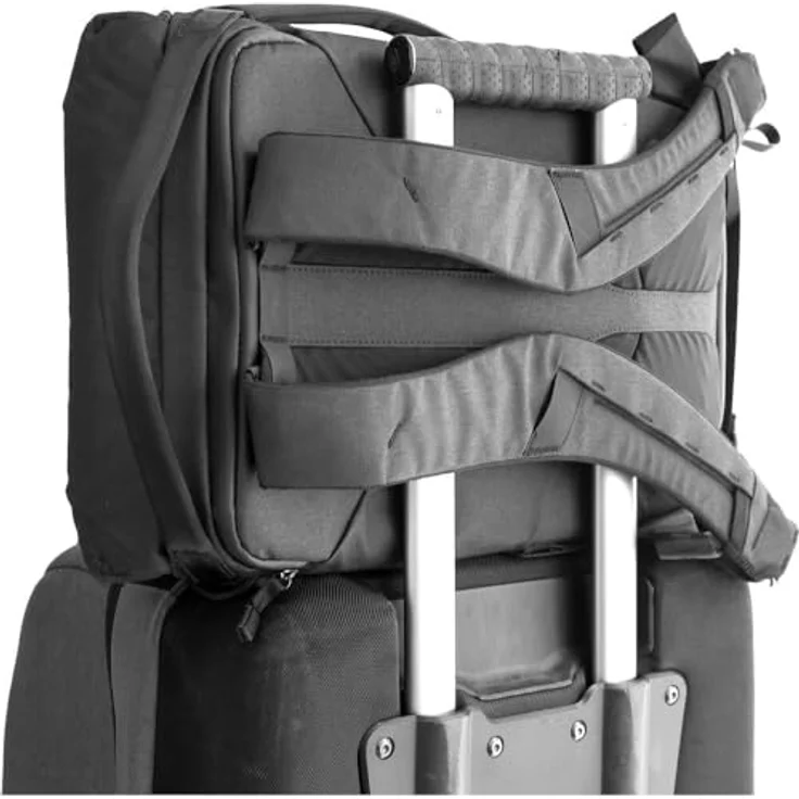 Peak Design Everyday Backpack V2 20L hellgrau – Bild 6