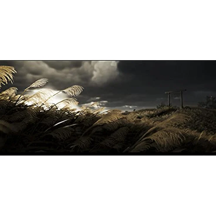 SONY PS5 GHOST OF TSUSHIMA DIRECTOR'S CUT- PS5, schwarz, 10GHOCU2 – Bild 5