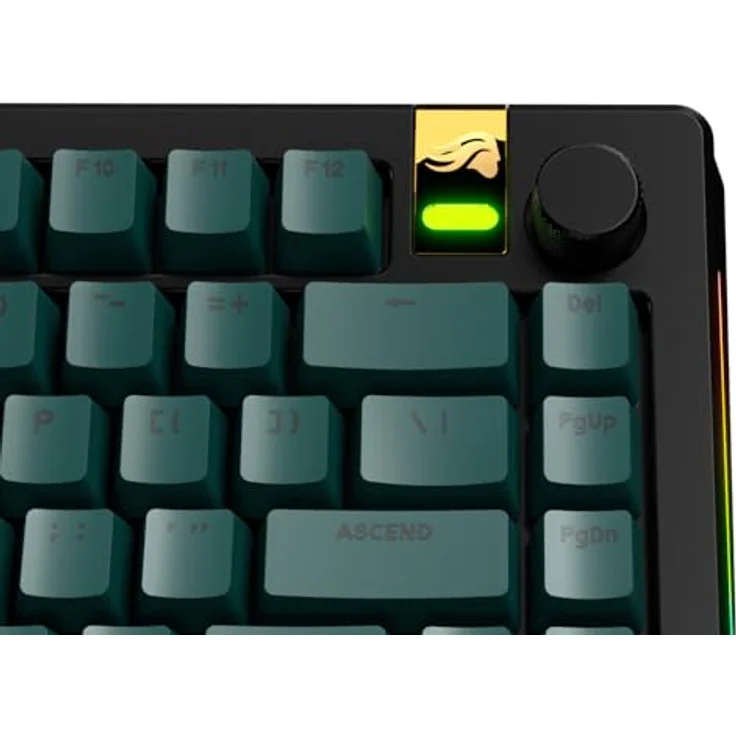 Glorious GPBT Basics Keycaps, ANSI Layout (US), PBT, Doubleshot - Totem Green – Bild 7