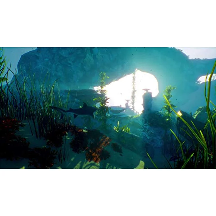 Maneater (Xbox Series, Xbox One) – Bild 5