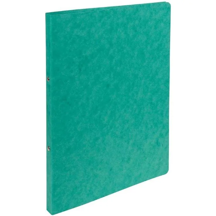 EXACOMPTA Ringbuch 'Manila', FSC-zertifiziert, grün, DIN A4, 2-fache Ringmechanik, 100 Blatt Kapazität