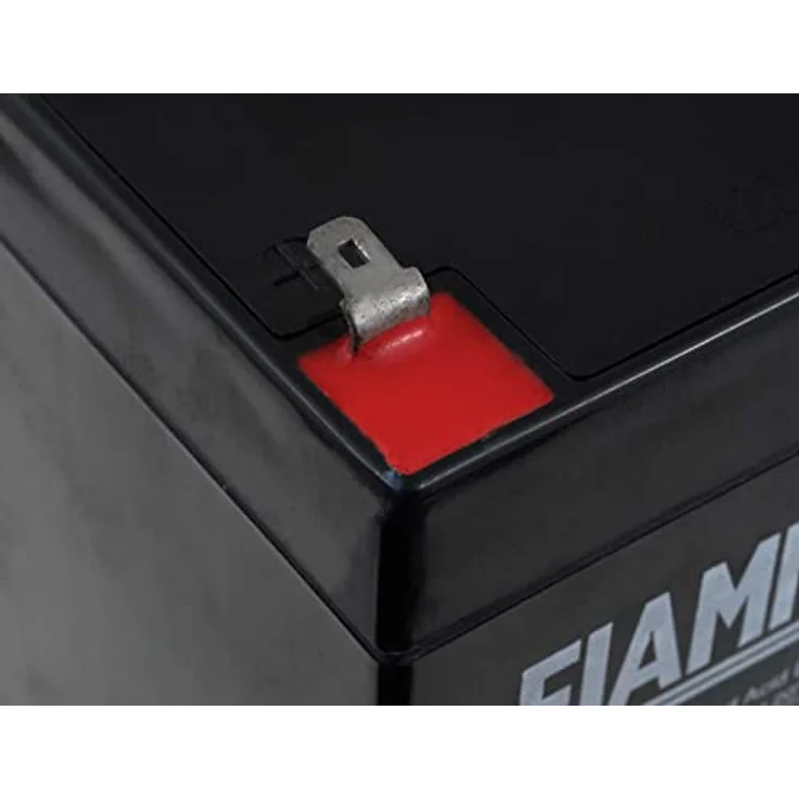 FIAMM Ersatzakku für USV APC Smart-UPS SMT2200RMI2U, 12V 4500mAh, Bleiakku in Schwarz, wartungsfrei, AGM-Technik – Bild 4