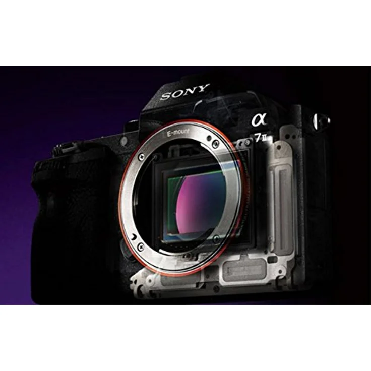 Sony Alpha 7S II, Schwarz – Bild 8