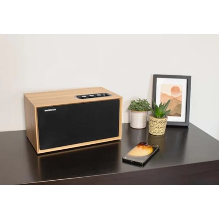 THOMSON - Coluna WS502, Bluetooth-Lautsprecher mit 100 Watt Gesamtmusikleistung, schwarz – Bild 2