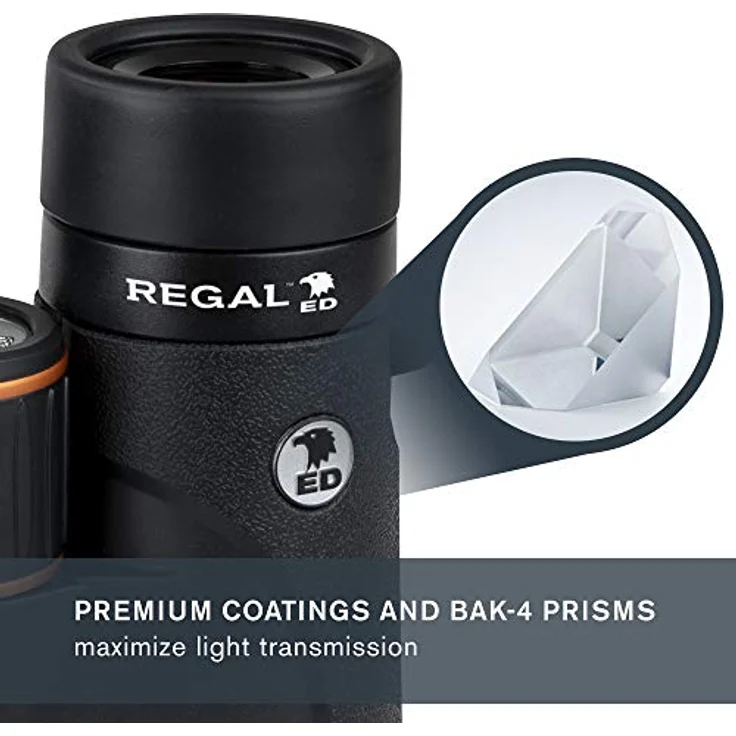 Celestron 71390 Regal ED 8x42 Fernglas für Natur- und Vogelbeobachtungen, phasen- und dielektrisch beschichtete BaK-4-Prismen, vollvergütete Linsen, Nahfokus von 2,5 m – Bild 5