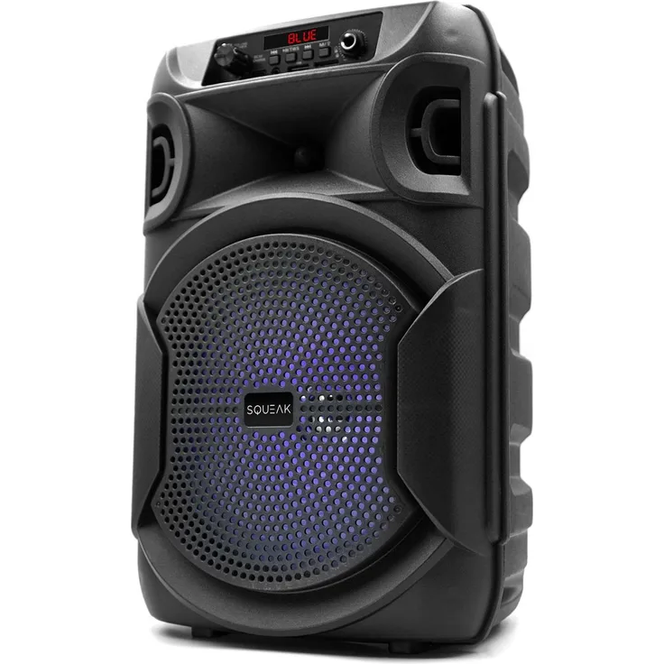 Squeak Pulsetower BT 5.3, Bluetooth-Lautsprecher mit FM-Radio und MicroSD-Steckplatz, tragbar