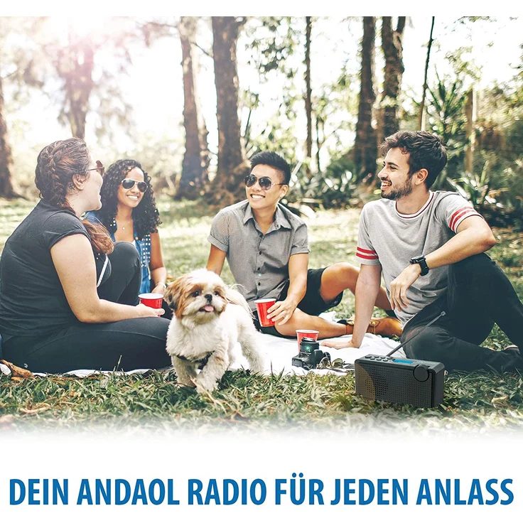 Anadol ADX-P1 DAB/DAB+/UKW/FM Radio - 20 Senderspeicherplätze, tragbar, zweizeiliger LCD-Display, Sleep-Timer, Akku & Netzbetrieb, Lautsprecher & Kopfhöreranschluss, USB-Ladekabel - schwarz – Bild 4
