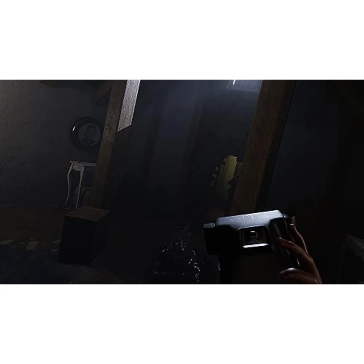 Perp Games MADiSON VR (PSVR2), Psychologisches Horrorspiel mit Sofortbildkamera - PS5-Games – Bild 3