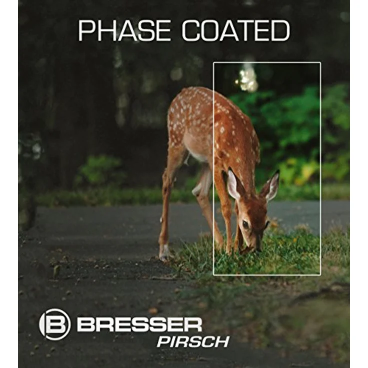 BRESSER Pirsch 10x42 Fernglas, Phasenvergütung, wasserdicht, BaK-4-Glas, Twist-up-Augenmuscheln – Bild 6