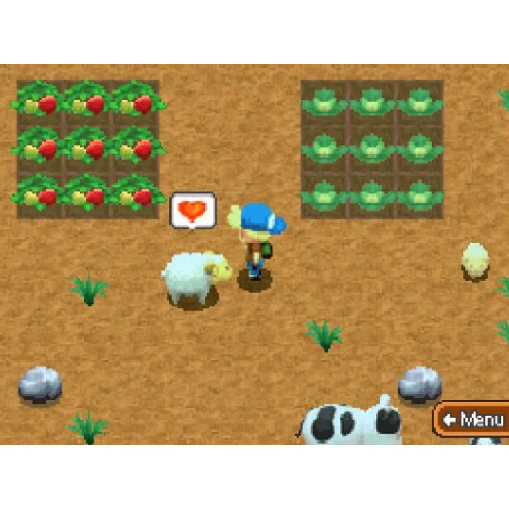 Harvest Moon (DS) – Bild 5