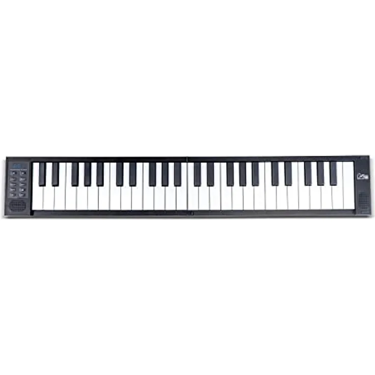 Blackstar FP-49 Touch 49 Tasten, berührungsempfindlich, tragbar, zusammenklappbar, mit USB-MIDI-Controller, mit wiederaufladbarem Akku, Schwarz