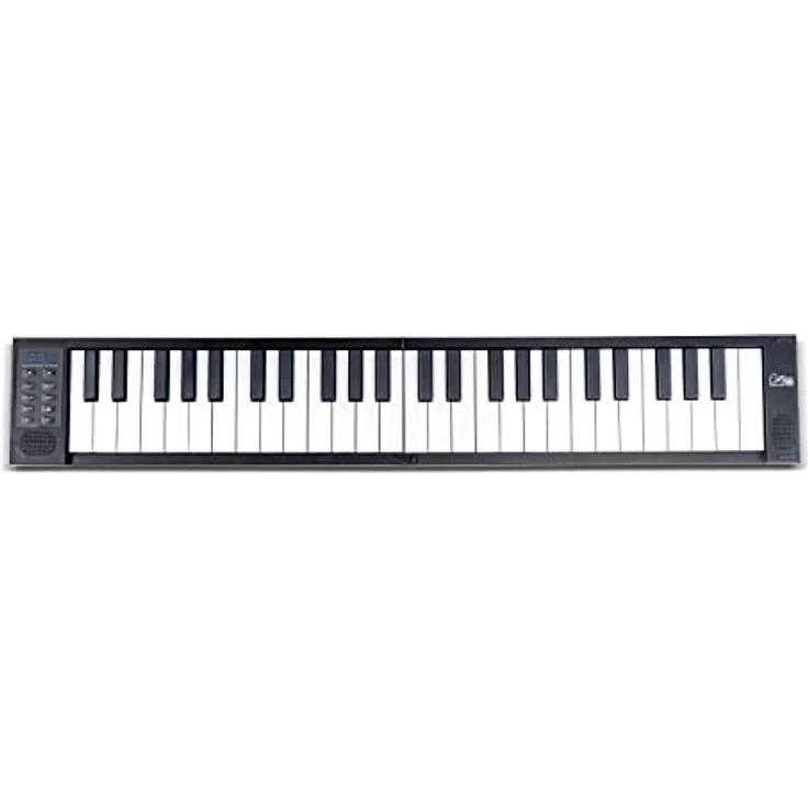 Blackstar FP-49 Touch 49 Tasten, berührungsempfindlich, tragbar, zusammenklappbar, mit USB-MIDI-Controller, mit wiederaufladbarem Akku, Schwarz – Bild 1