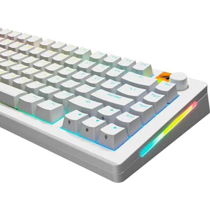 Glorious Gaming GPBT Backlit-Tastenkappen (Weiß), lichtdurchlässige Legenden, universelle Kompatibilität – Bild 3