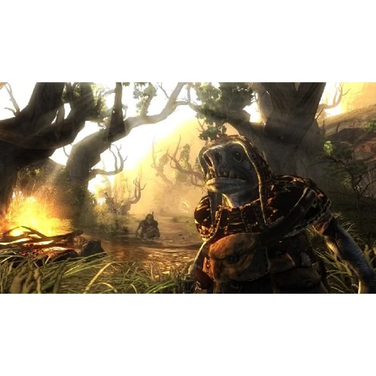 Risen (Xbox 360) - Preisvergleich – Bild 2