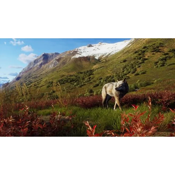 THQ Nordic Way of the Hunter Wild Expeditions - Jeu Xbox Series X, 6 große Jagdreviere, 57 verschiedene Tierarten – Bild 5