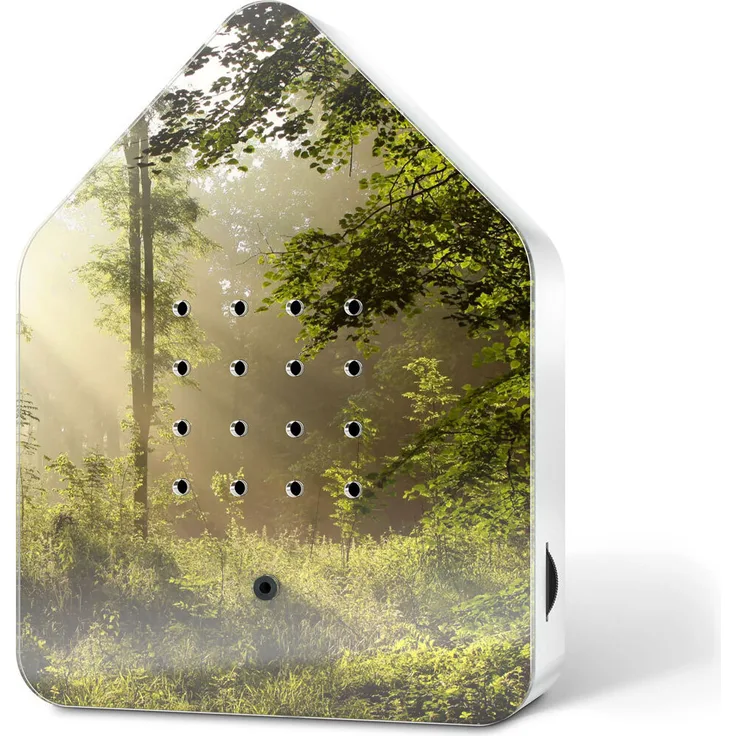 RELAXOUND Zwitscherbox SUNBEAM mit Vogelgezwitscher der Amsel, batteriebetrieben, bedrucktes Plexiglas, 14,5 cm, Bluetooth-Lautsprecher