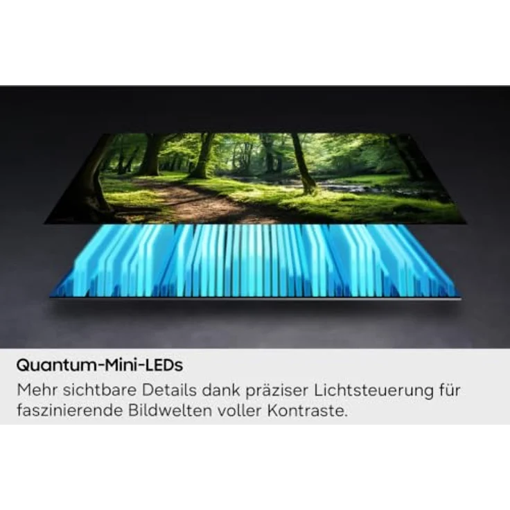 Samsung QE55QN80H, 55 Zoll Neo QLED 4K Smart-TV mit Motion Xcelerator, WLAN, Schwarz – Bild 7
