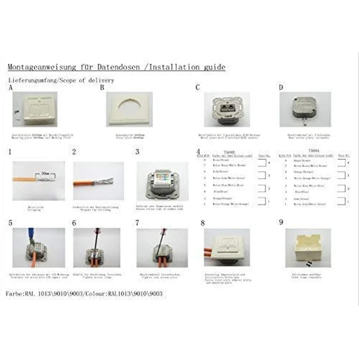 BIGtec CAT.6 Netzwerkdose Dose Kombidose Aufputz / Unterputz Netzwerk Datendose RAL 9003 Signalweiß für Verlegekabel CAT.5 CAT.5e CAT.6 CAT.6a CAT.7 CAT.7a – Bild 9