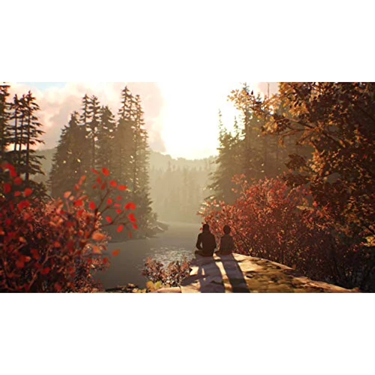 Life is Strange 2 (PC) – Bild 4