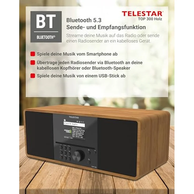 Telestar Top 300, Internetradio mit DAB+, FM, Bluetooth 5.3, WLAN und CD-Player, Braun – Bild 8