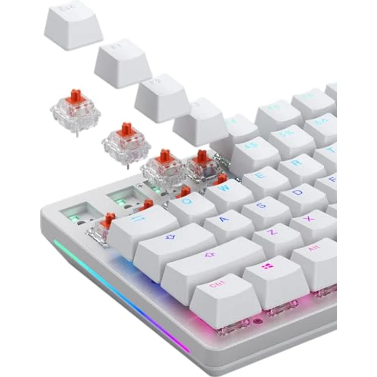 Glorious Fox Standard Switches, mechanisch, 3-Pin, linear, MX-Stem, 45g - lubed, 110 Stück – Bild 13