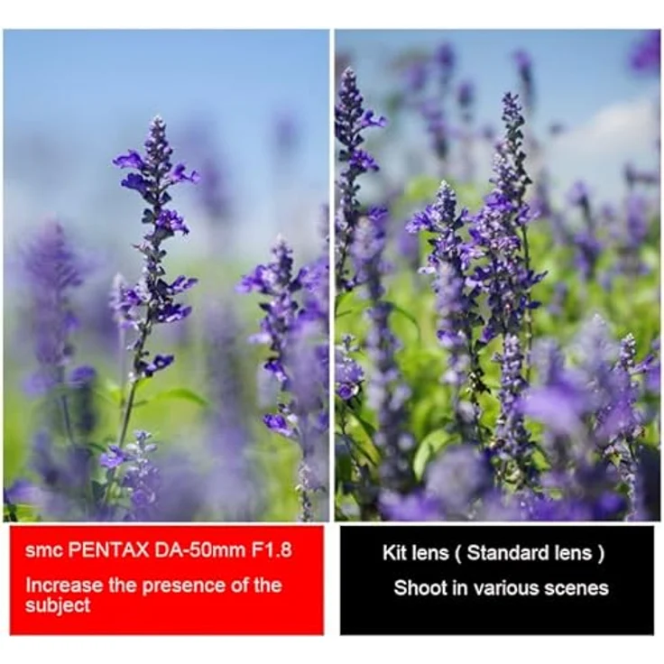 Pentax 50 mm f/1,8 SMCDA – Bild 6