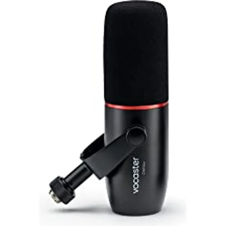 DM14 V Mikrofon, dynamisches Mikrofon für Podcaster, integrierter Windschutz und Stoßhalterung, XLR-Kabel im Lieferumfang enthalten