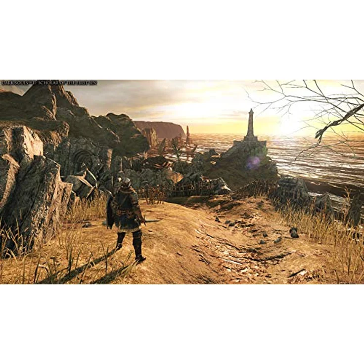 Dark Souls Trilogy (Xbox One) – Bild 2