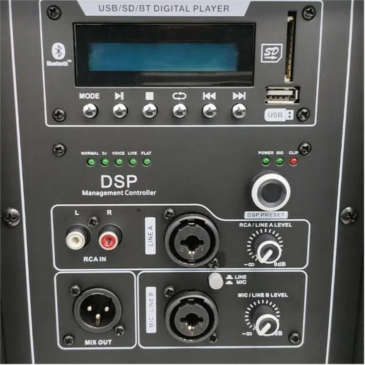 No Name DNA SPX15 DSP Aktivlautsprecher 15, PA Lautsprecher mit digitalem Signalprozessor