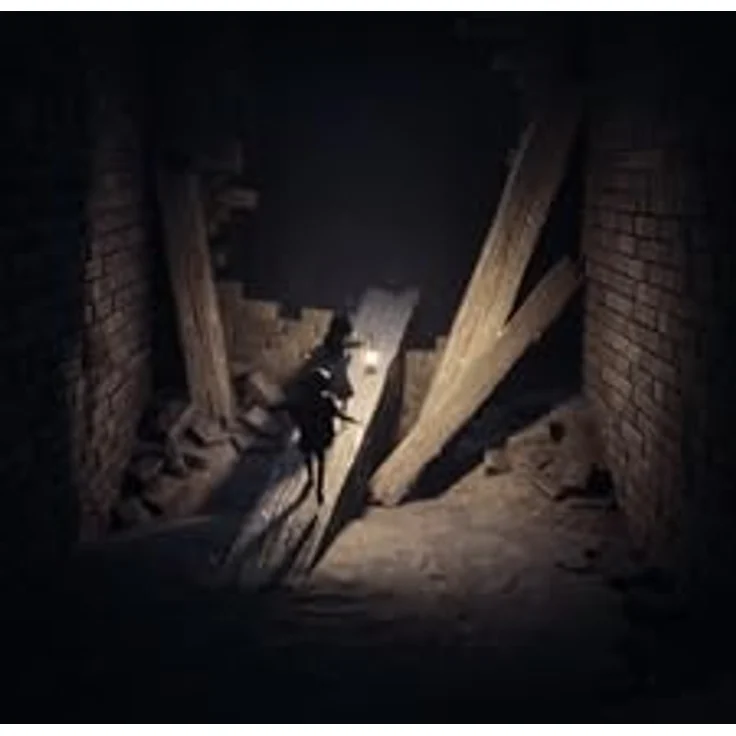 THQ Nordic REANIMAL - PlayStation 5, PS5-Spiel mit atmosphärischem Horror, lokalem & online-Koopmodus – Bild 3