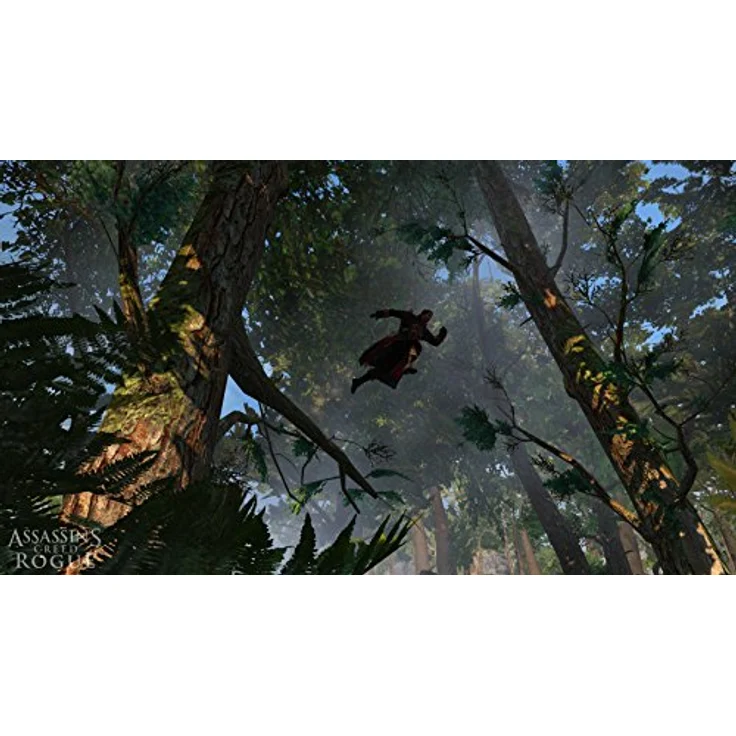 Assassin's Creed Rogue (PS3) – Bild 6